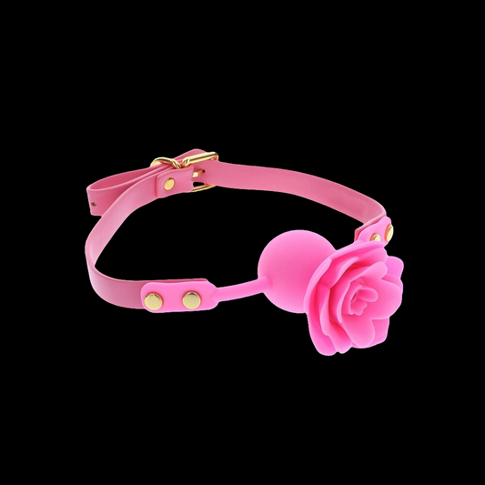 Pretty in Pink Rose